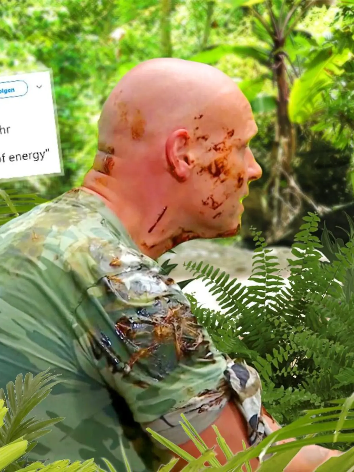 Das sind die Twitter-Reaktionen zu Tag 8 im Dschungel.