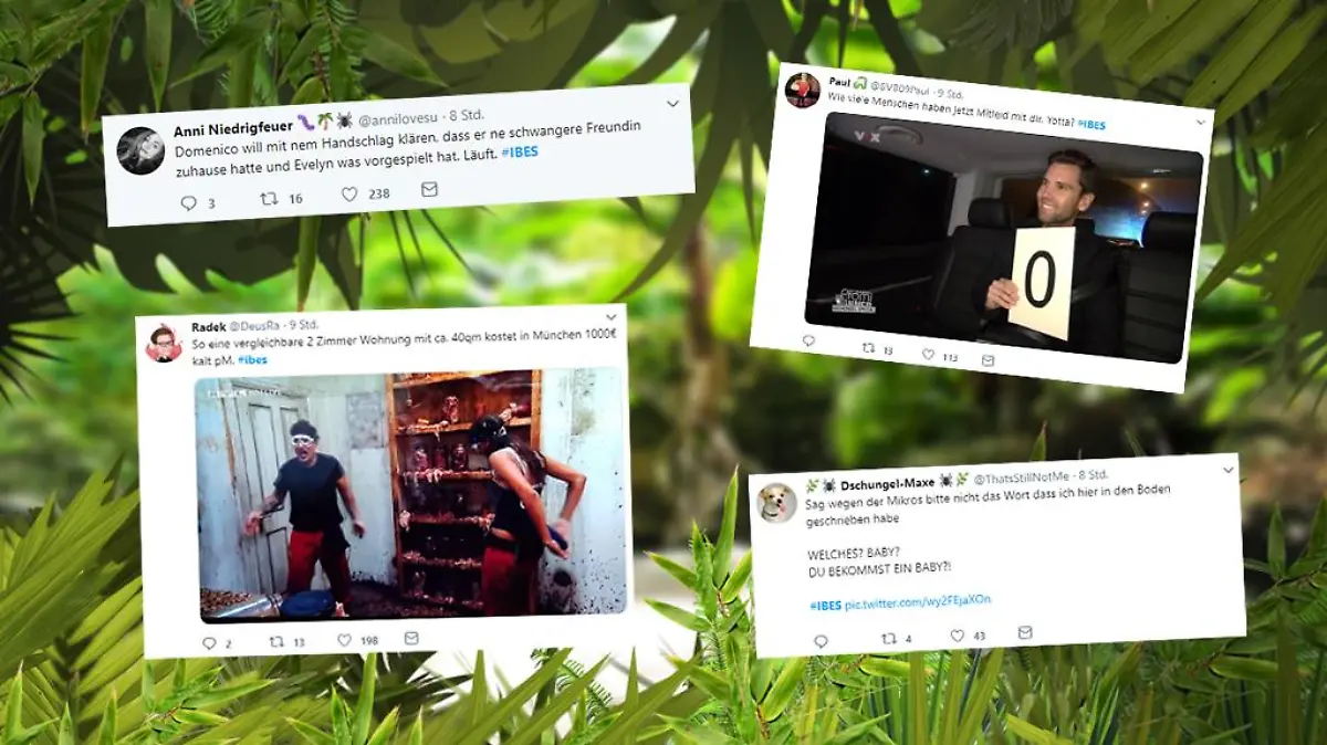 Die besten Reaktionen auf Twitter.