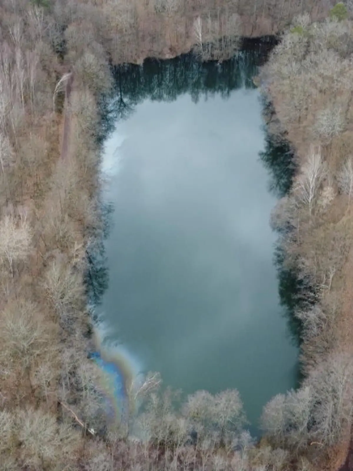 Ist ein Vermisstenfall aus dem Jahr 2014 jetzt endlich gelöst? Ein Angler aus Saarbrücken hat am Samstag in einem Weiher im Stadtteil Rußhütte ein komplett unter Wasser liegendes Auto entdeckt. Polizeitaucher sollen darin eine weibliche Leiche gefunden haben. Das Fahrzeug sei noch am Samstag geborgen und mittlerweile kriminaltechnisch untersucht worden. Ist die Tote die vermisste Roswitha S.?