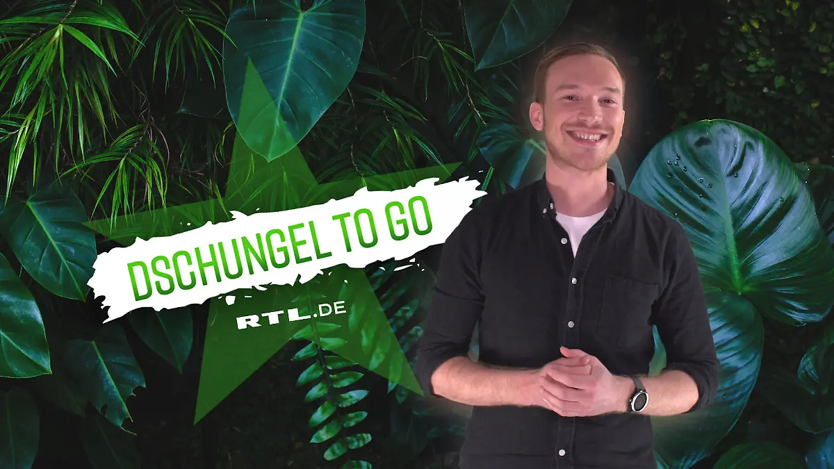 Dschungel to go