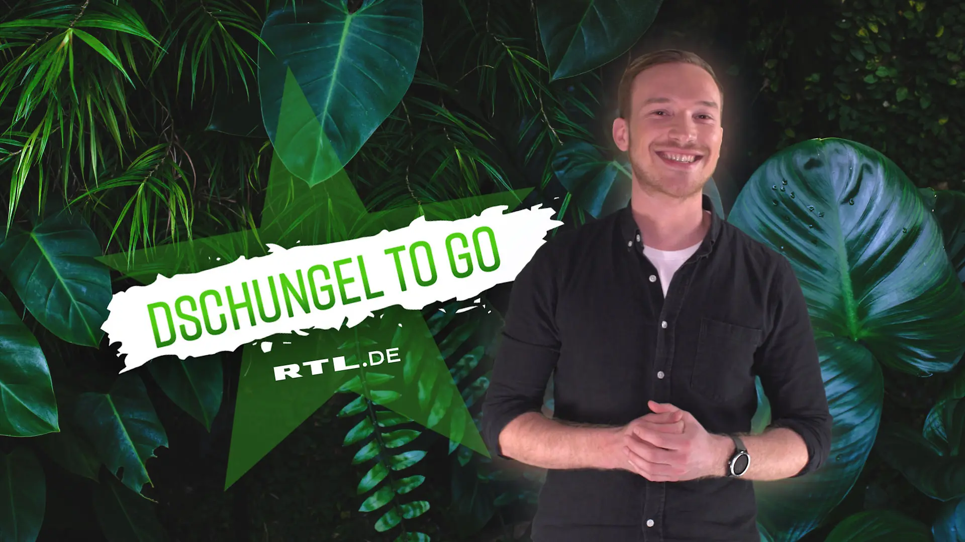 Dschungel to go