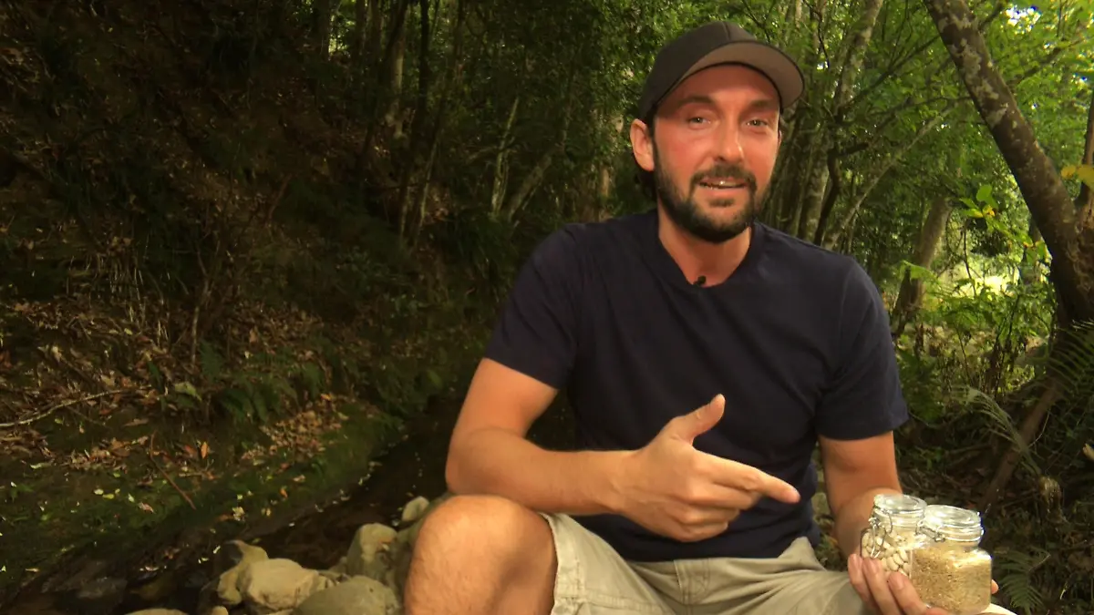 RTL.de Chefreporter Sebastian Tews im Dschungel Schmecken Reis & Bohnen?