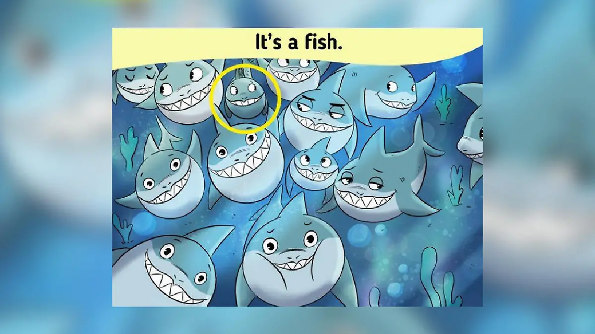 Da ist er ja! In der oberen Reihe von Haien ist ein Fisch zu sehen.
