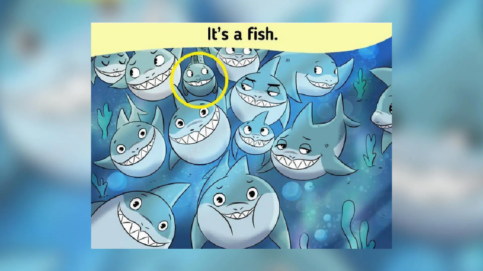 Da ist er ja! In der oberen Reihe von Haien ist ein Fisch zu sehen.