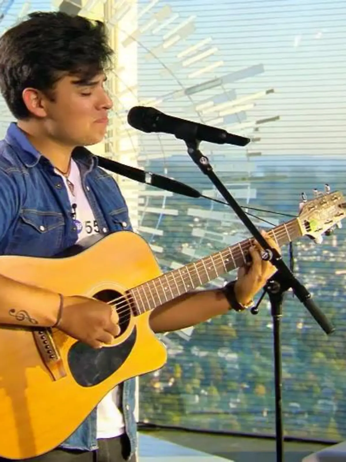 Bild zu: "Ein Mann - eine Gitarre  - ein Song"