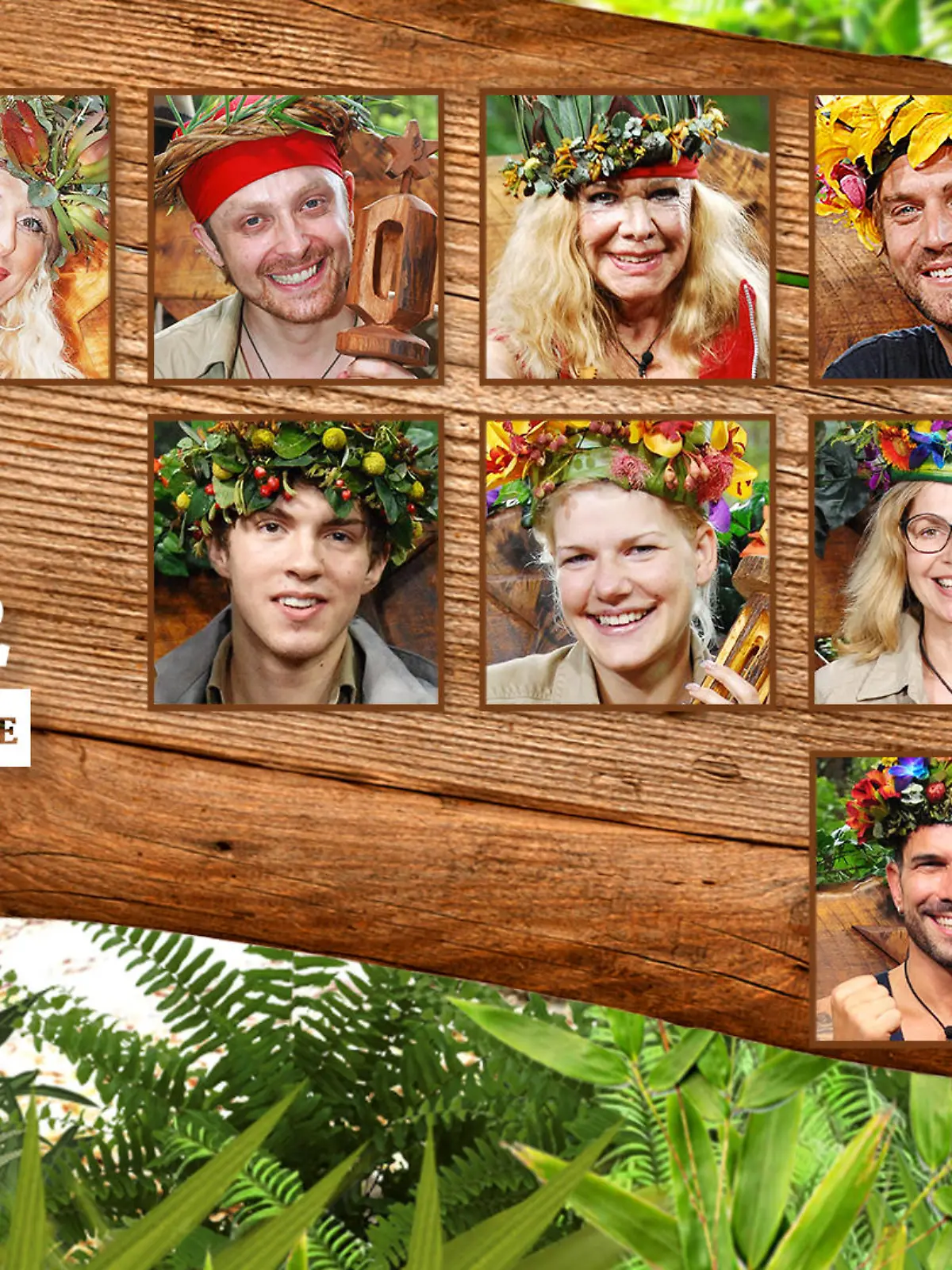 Das sind die Dschungelkönige: Costa Cordalis, Désirée Nick, Ross Antony, Ingrid van Bergen, Peer Kusmagk, Brigitte Nielsen, Joey Heindle, Melanie Müller, Maren Gilzer, Menderes Ba?c?, Marc Terenzi und Jenny Frankhauser.