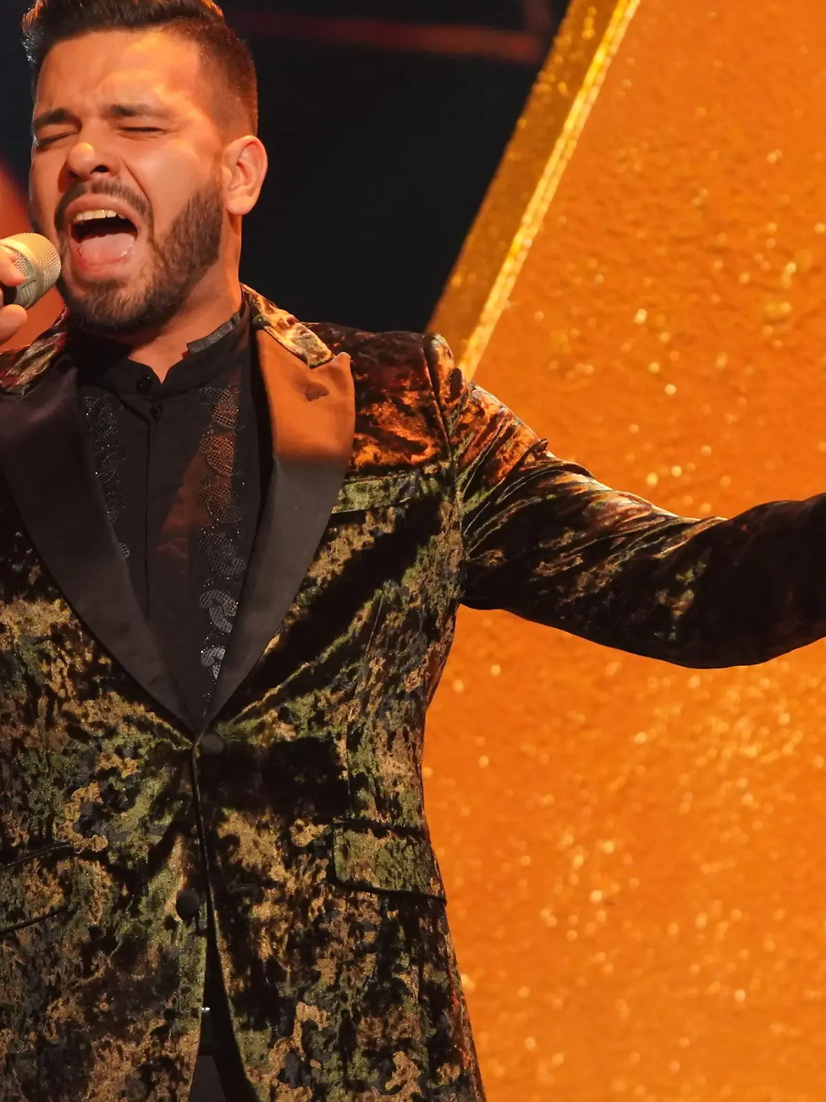 Bild zu: "Alle Auftritte aus dem Finale"