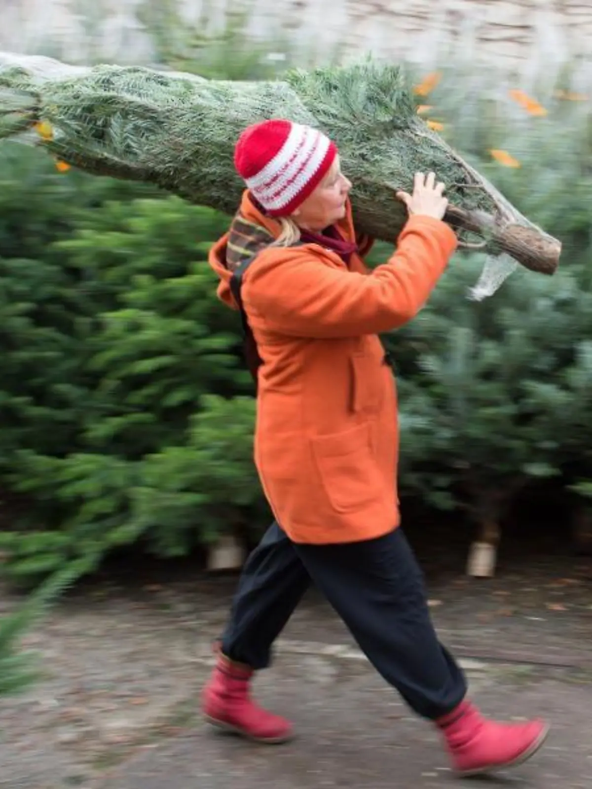 Weihnachtsbaumverkauf