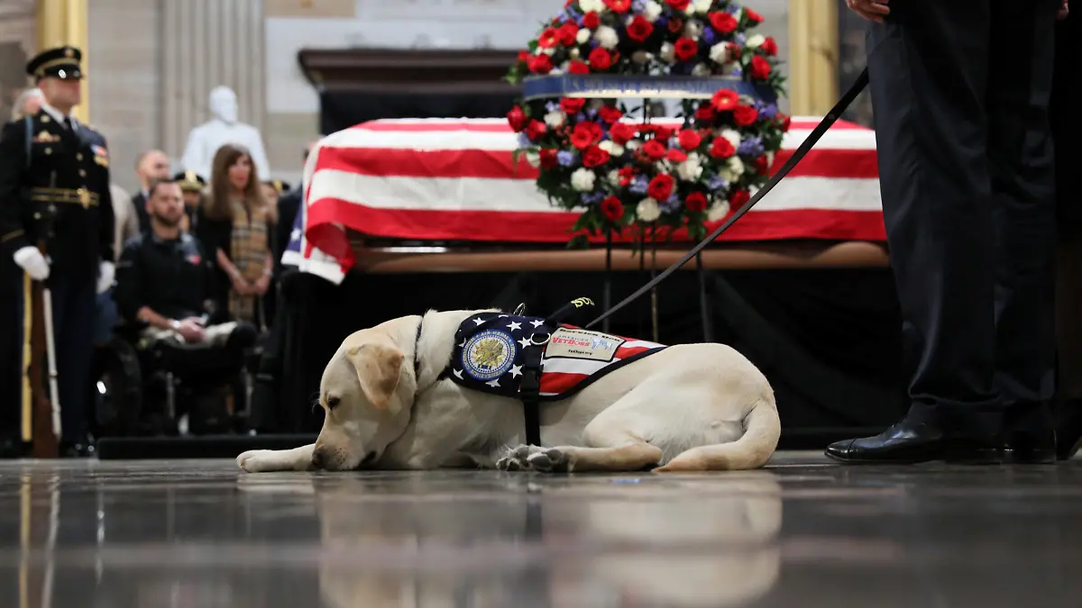 Former U.S. President George H.W. Bush's service dog Sully pays his respects as Bush's body lies in state in the Rotunda at the U.S. Capitol in Washington, U.S., December 4, 2018. REUTERS/Jonathan Ernst