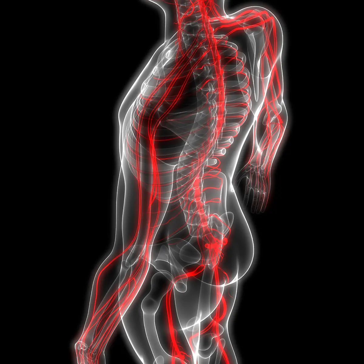 Sympathikus Logo von Sympathikus