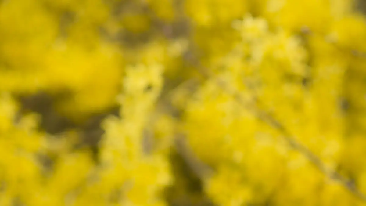 Junge Frau mit Allergie - woman with allergy | Verwendung weltweit, Keine Weitergabe an Wiederverkäufer.