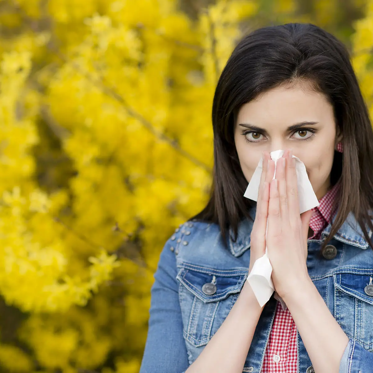 Pollen Logo von Pollen