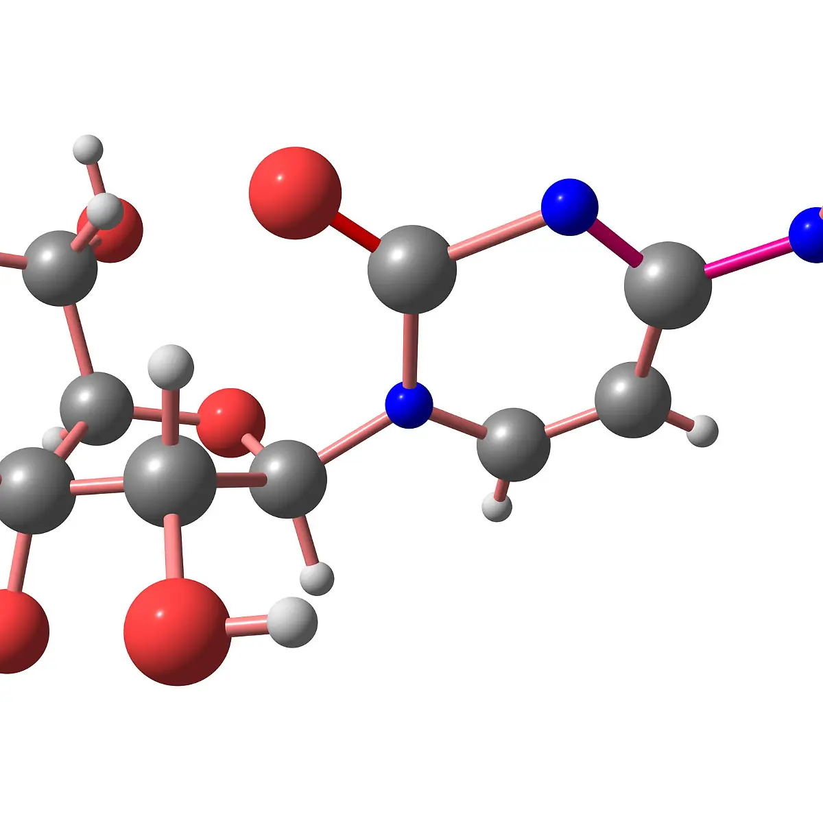 Purine Logo von Purine