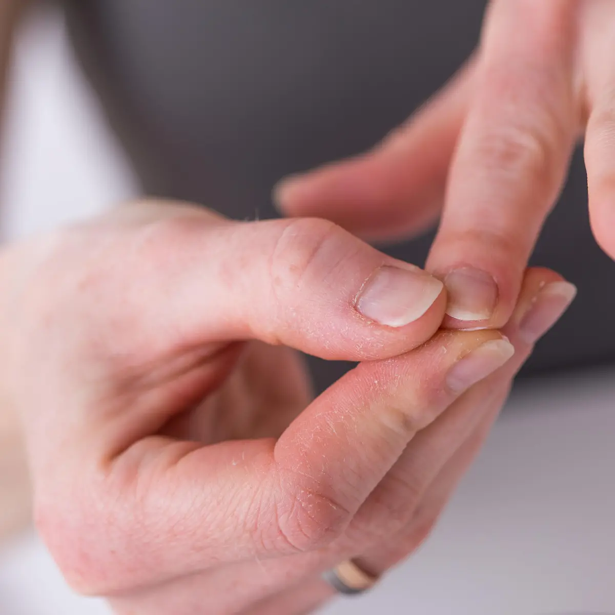 Panaritium Logo von Panaritium