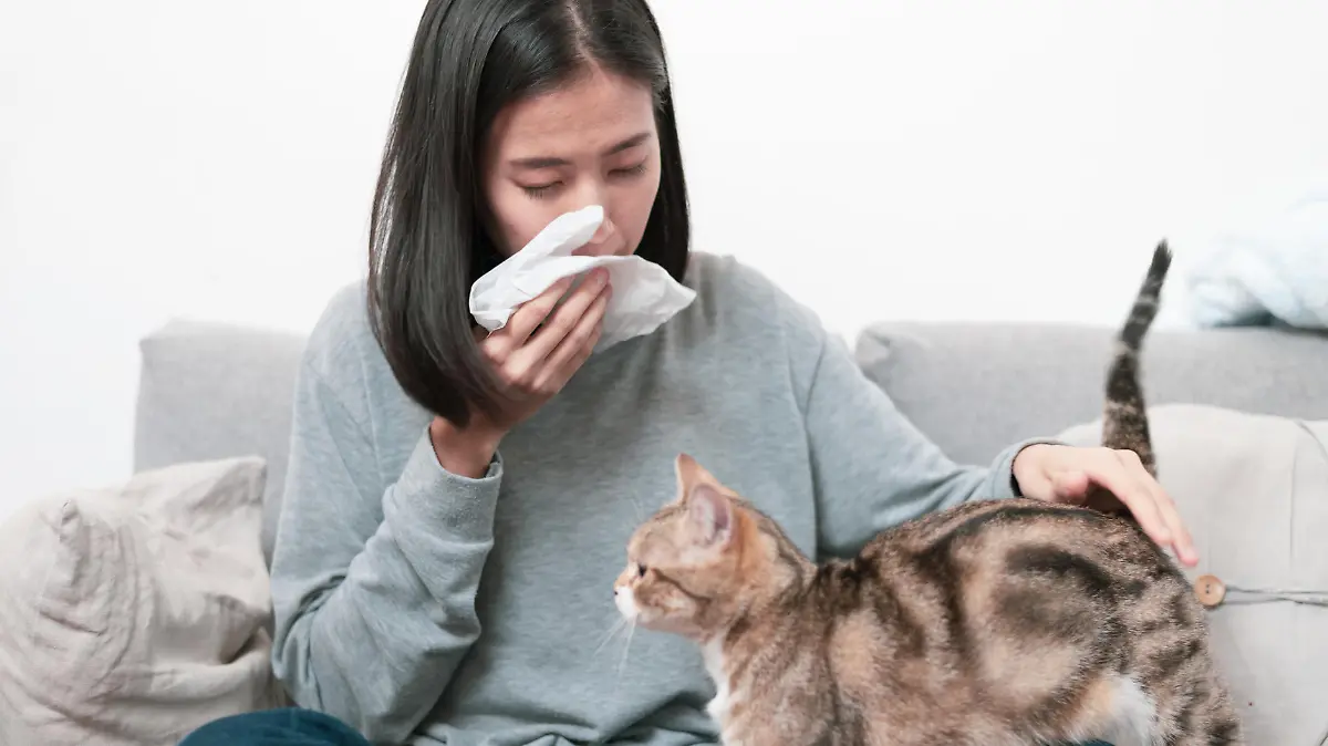 Mädchen mit Katzenhaarallergie