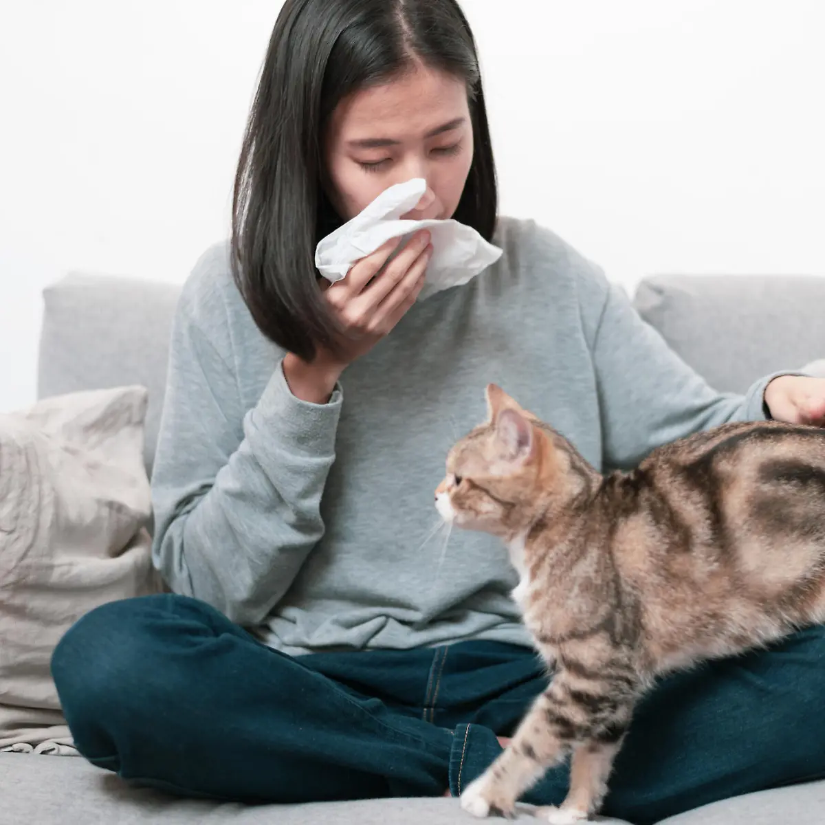 Katzenallergie (Katzenhaarallergie) Logo von Katzenallergie (Katzenhaarallergie)