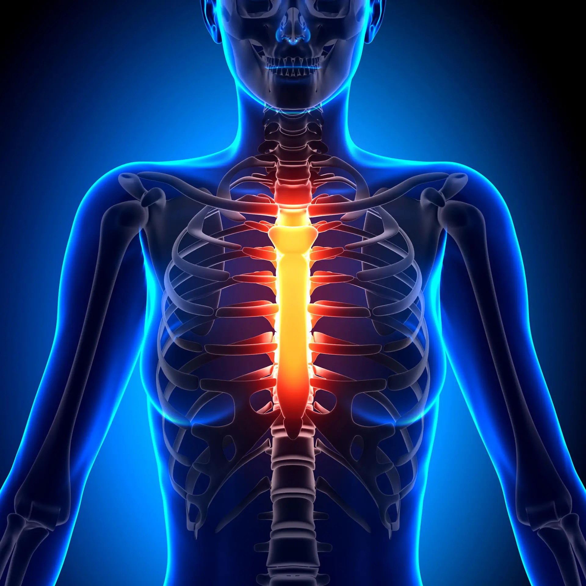 Sternum (Brustbein) Logo von Sternum (Brustbein)