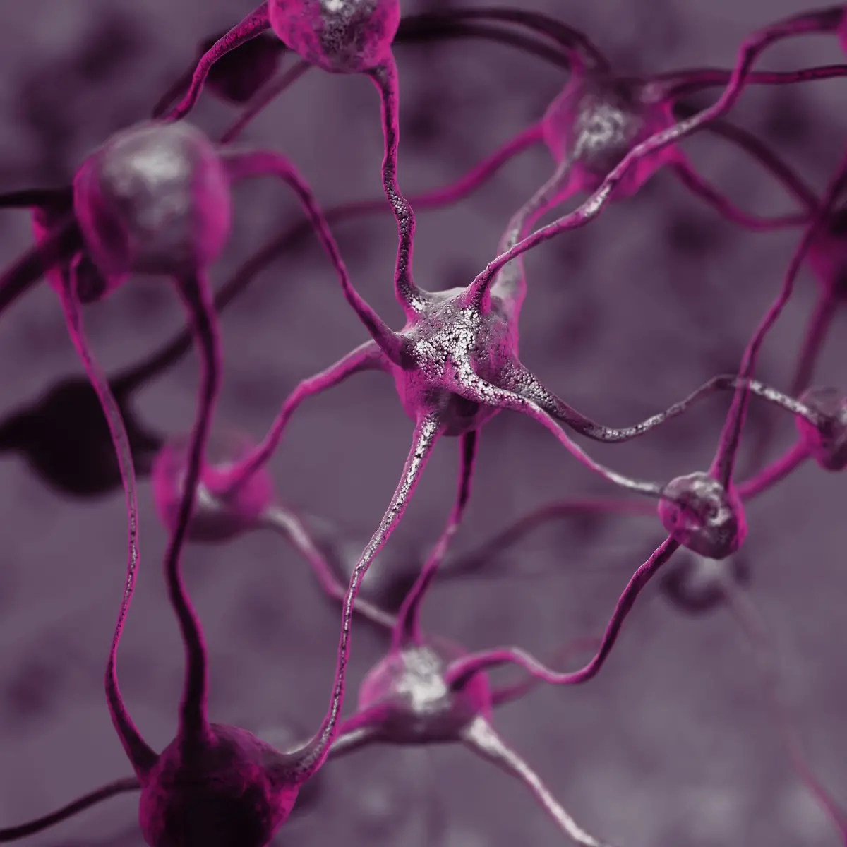 Neurologie Logo von Neurologie