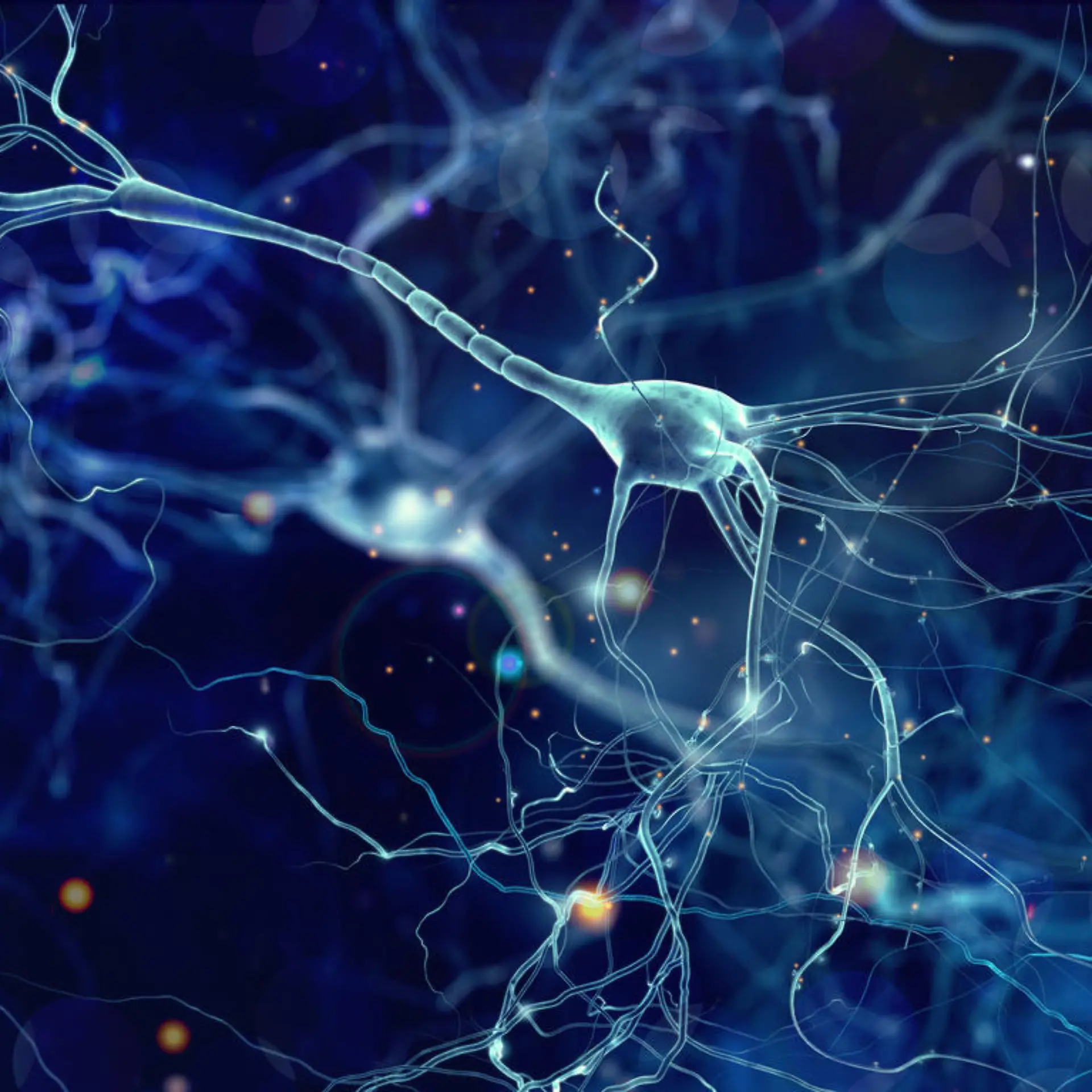 Neuron (Nervenzelle) Logo von Neuron (Nervenzelle)