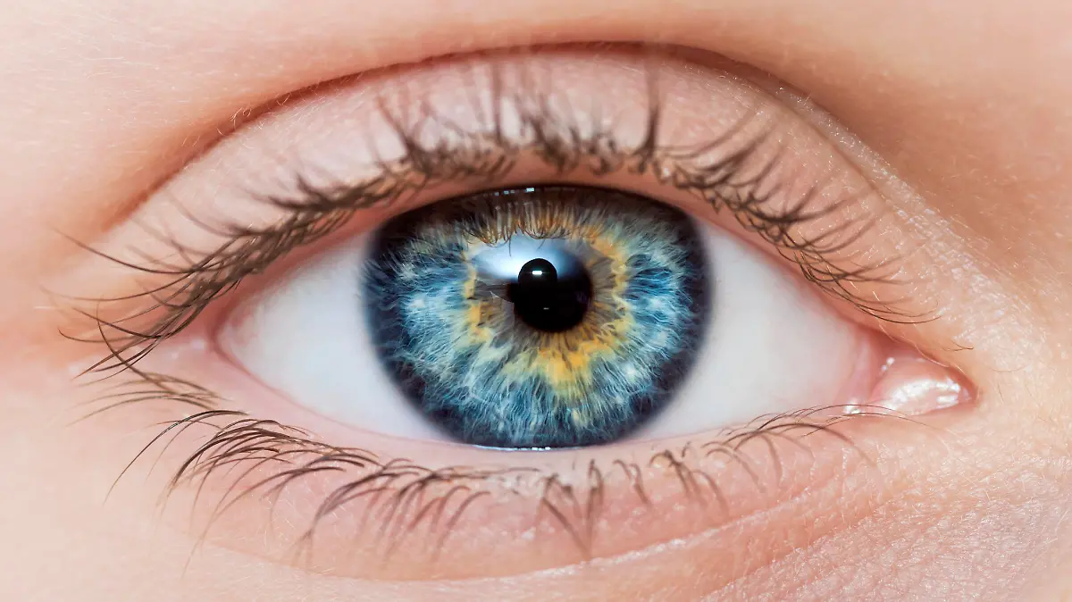Blaues Auge einer Frau