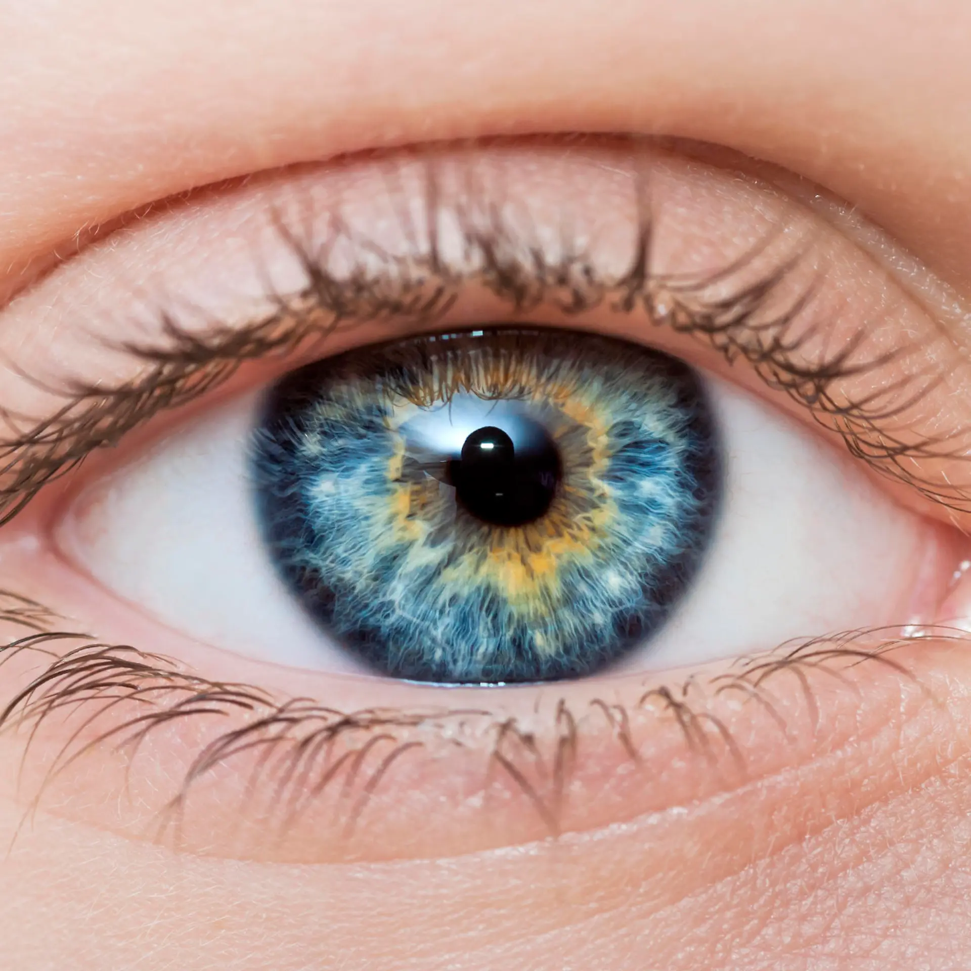 Retina (Netzhaut) Logo von Retina (Netzhaut)
