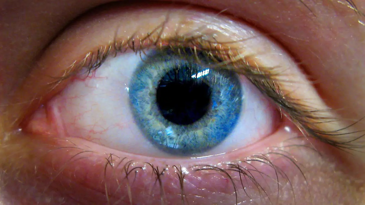 Eye disease drug available on NHS. File photo dated 14/06/2007 of an eye. Issue date: Wednesday August 27, 2008. Thousands of people with a devastating eye disease could have their sight saved by a drug being made available on the NHS under new guidelines published today. The National Institute for Health and Clinical Excellence (Nice) has recommended the drug Lucentis after performing a u-turn on draft guidance published last year. Foto: John Stillwell/PA Wire +++(c) dpa - Report+++