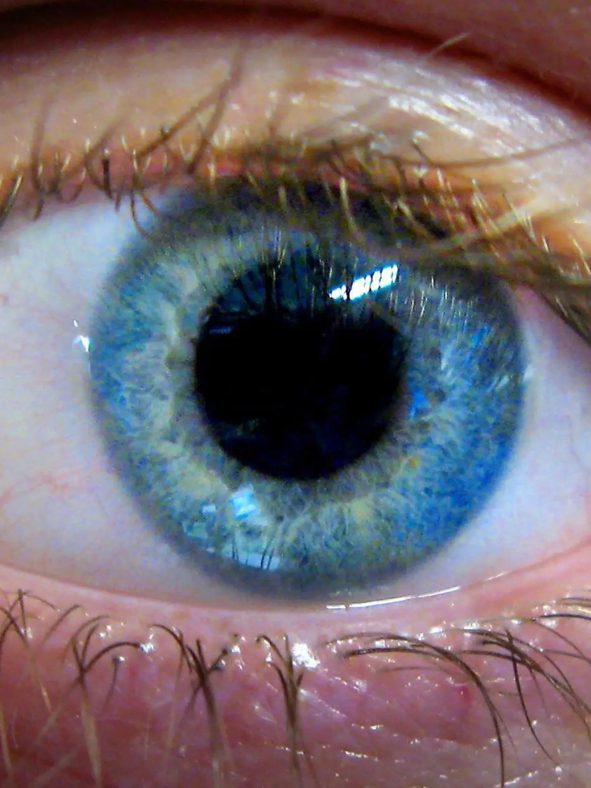 Eye disease drug available on NHS. File photo dated 14/06/2007 of an eye. Issue date: Wednesday August 27, 2008. Thousands of people with a devastating eye disease could have their sight saved by a drug being made available on the NHS under new guidelines published today. The National Institute for Health and Clinical Excellence (Nice) has recommended the drug Lucentis after performing a u-turn on draft guidance published last year. Foto: John Stillwell/PA Wire +++(c) dpa - Report+++