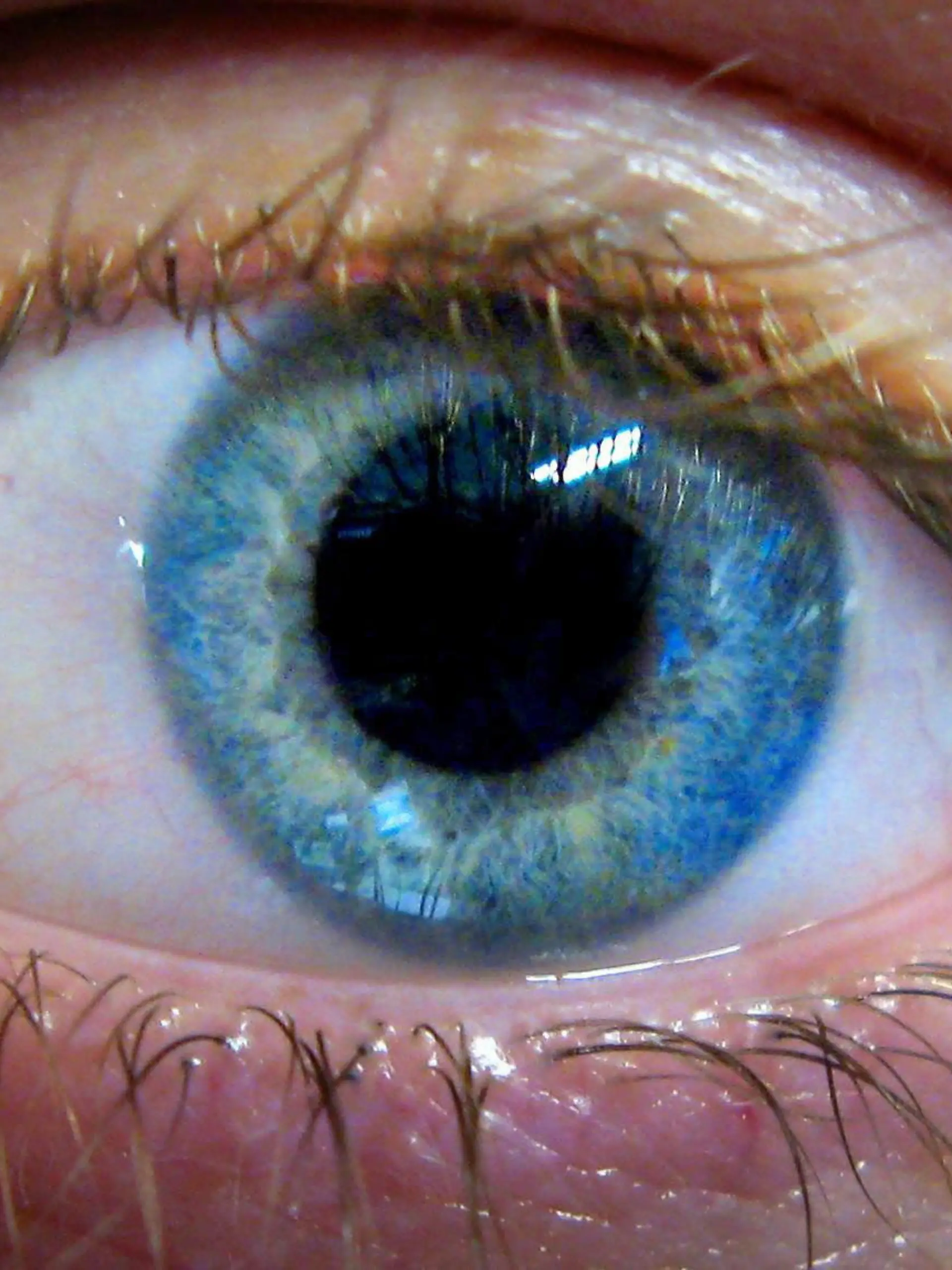 Eye disease drug available on NHS. File photo dated 14/06/2007 of an eye. Issue date: Wednesday August 27, 2008. Thousands of people with a devastating eye disease could have their sight saved by a drug being made available on the NHS under new guidelines published today. The National Institute for Health and Clinical Excellence (Nice) has recommended the drug Lucentis after performing a u-turn on draft guidance published last year. Foto: John Stillwell/PA Wire +++(c) dpa - Report+++