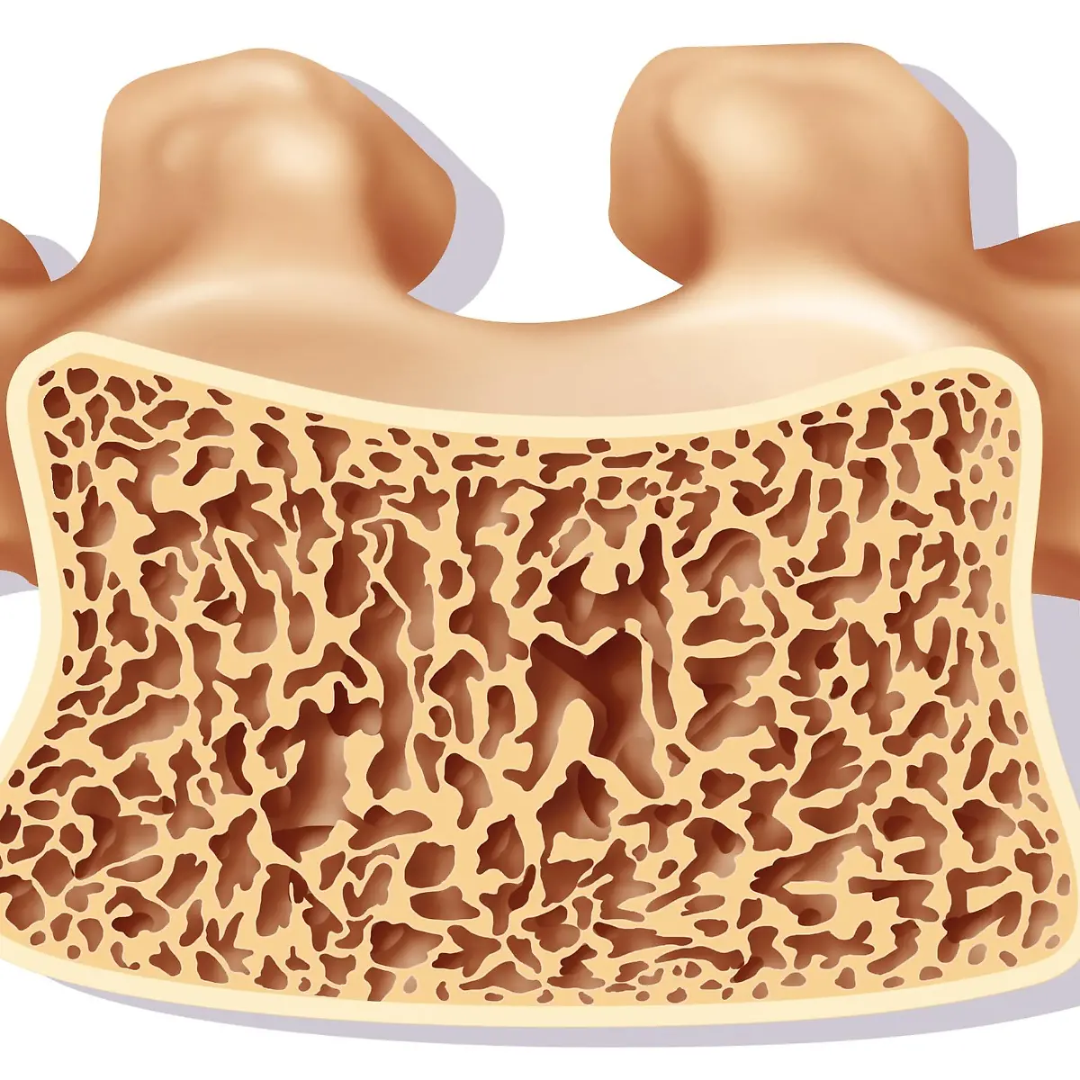 Osteopenie Logo von Osteopenie