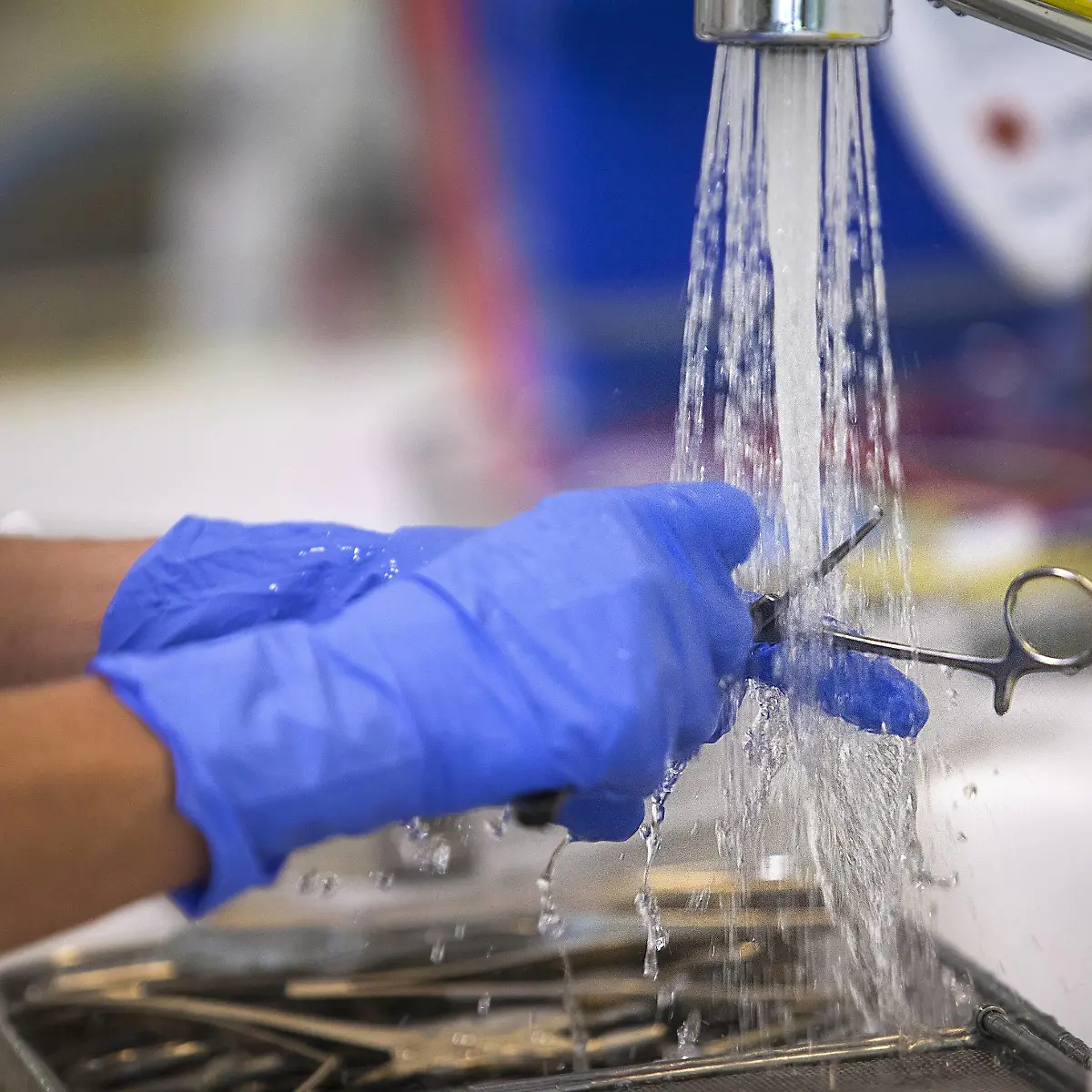 Sterilisation (Sterilität) Logo von Sterilisation (Sterilität)