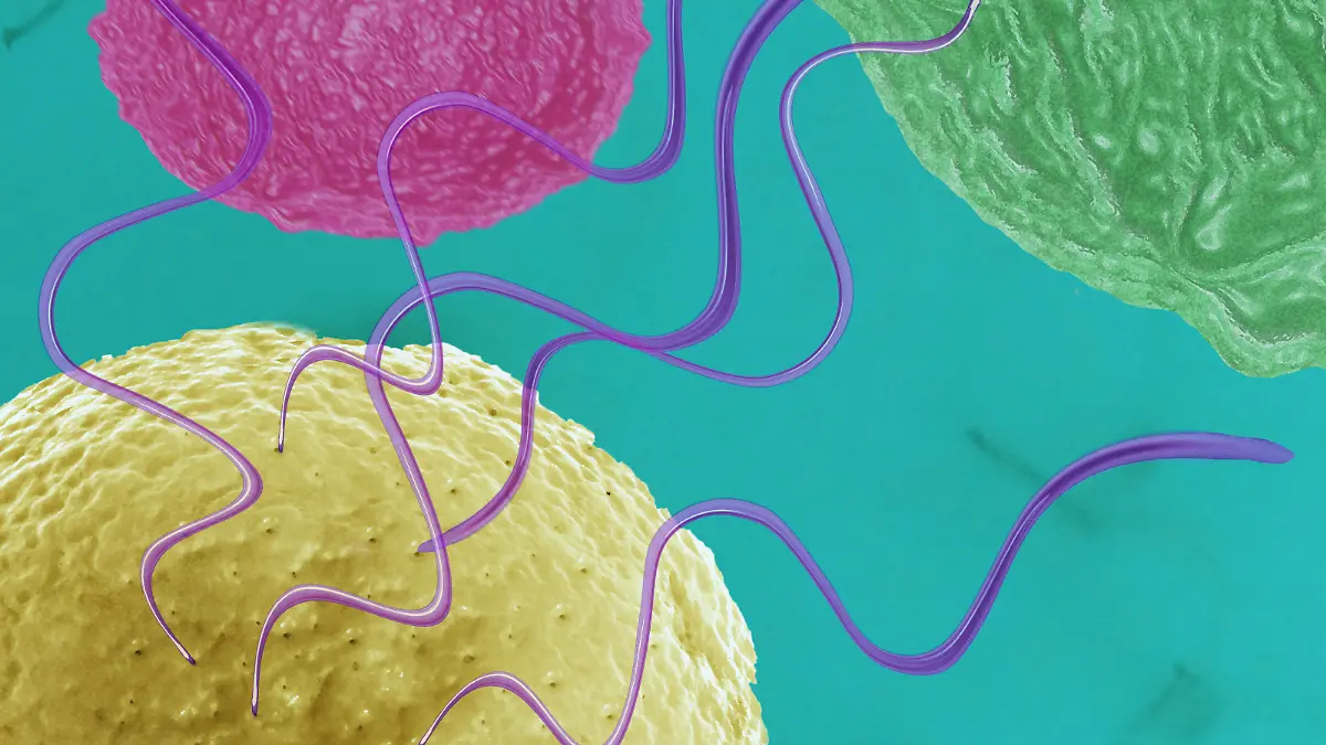 artwork Proteinbiosynthese RNA | Verwendung weltweit