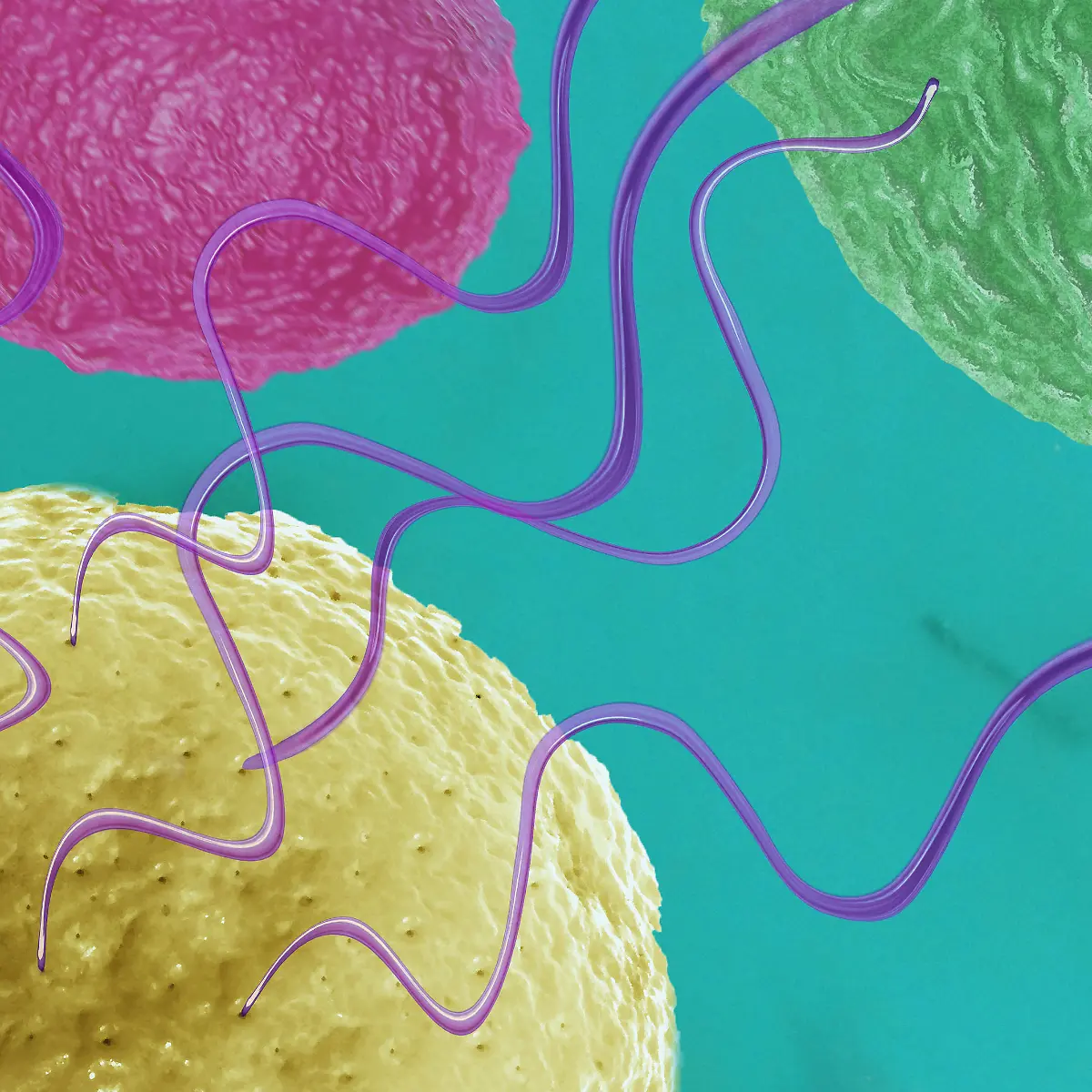 RNA (Ribonukleinsäure) Logo von RNA (Ribonukleinsäure)