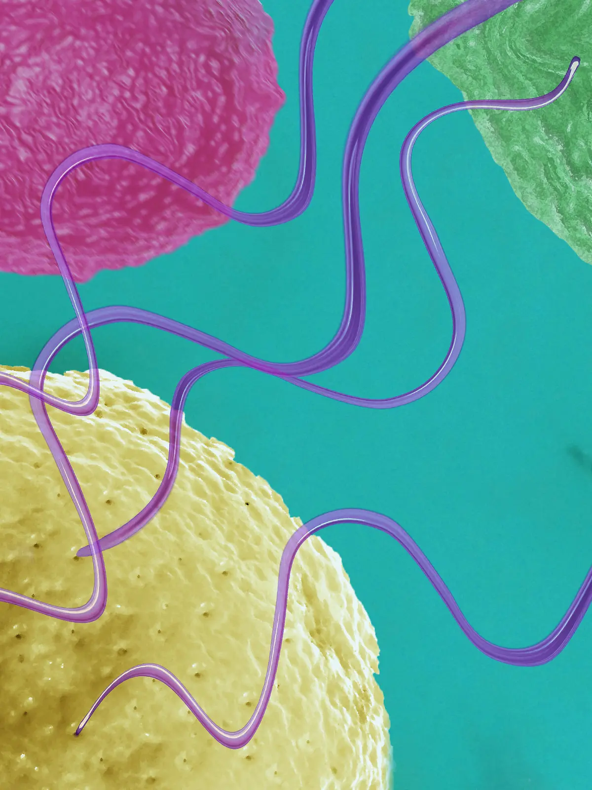 artwork Proteinbiosynthese RNA | Verwendung weltweit