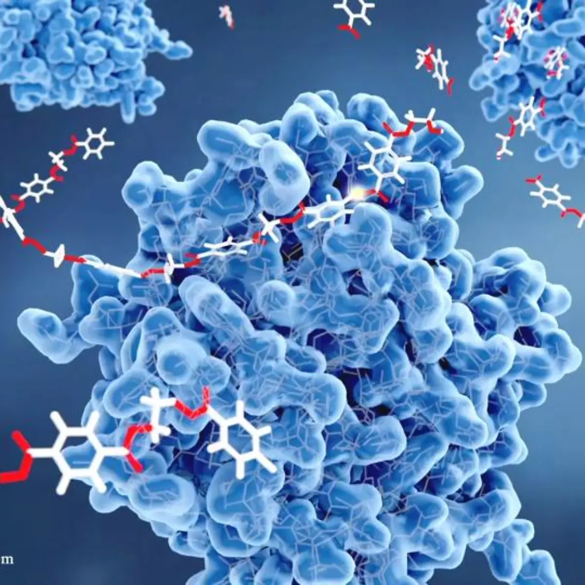 LDH (Lactatdehydrogenase) Logo von LDH (Lactatdehydrogenase)