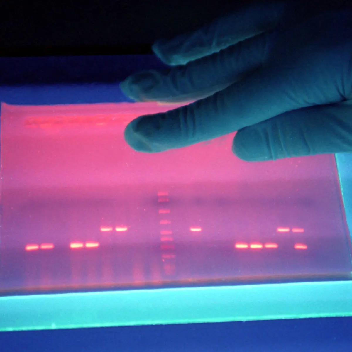 Logo von Fluoreszenz