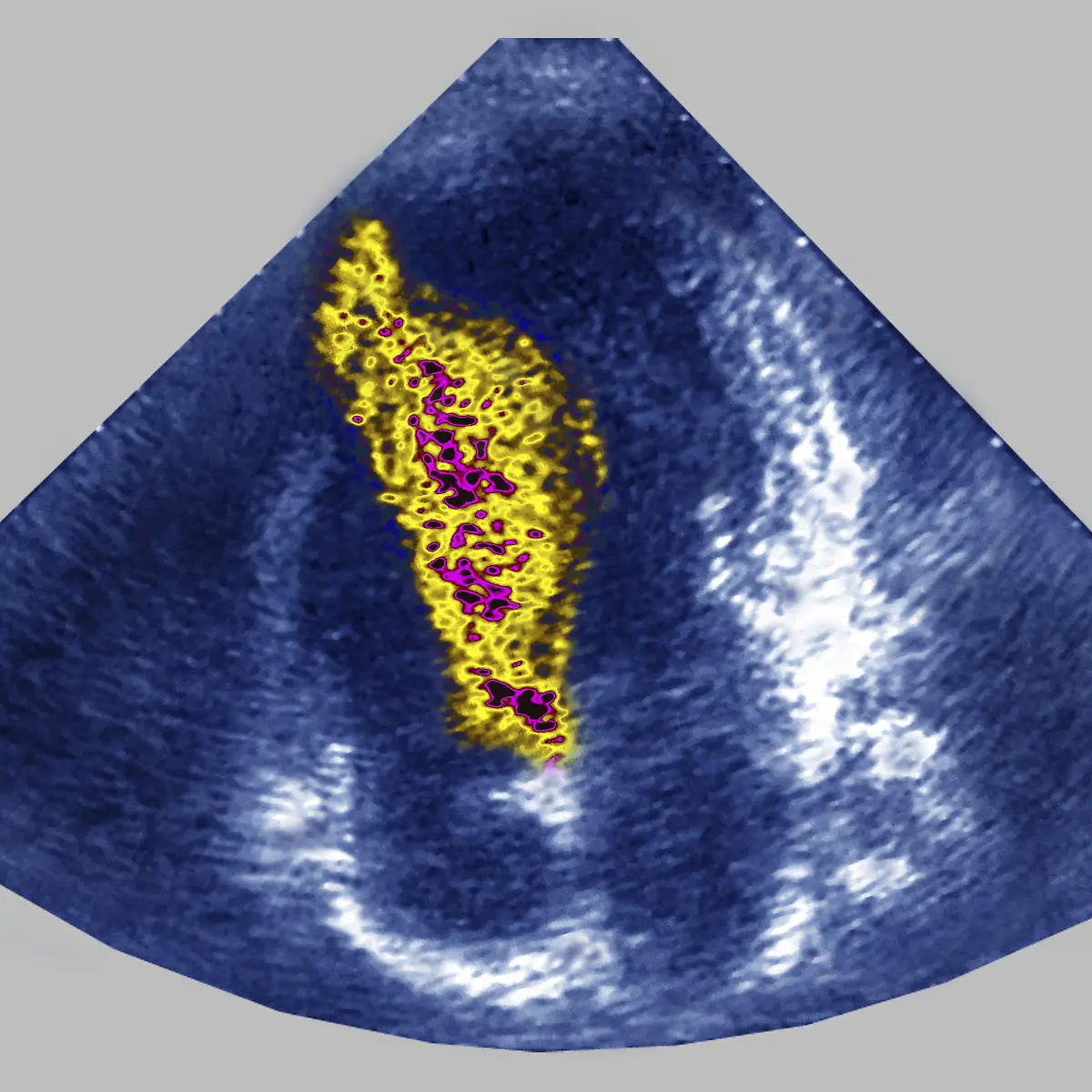 Kompensation Logo von Kompensation