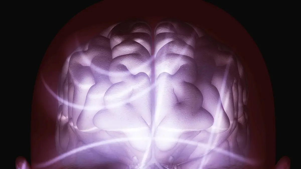 Human Brain | Verwendung weltweit
