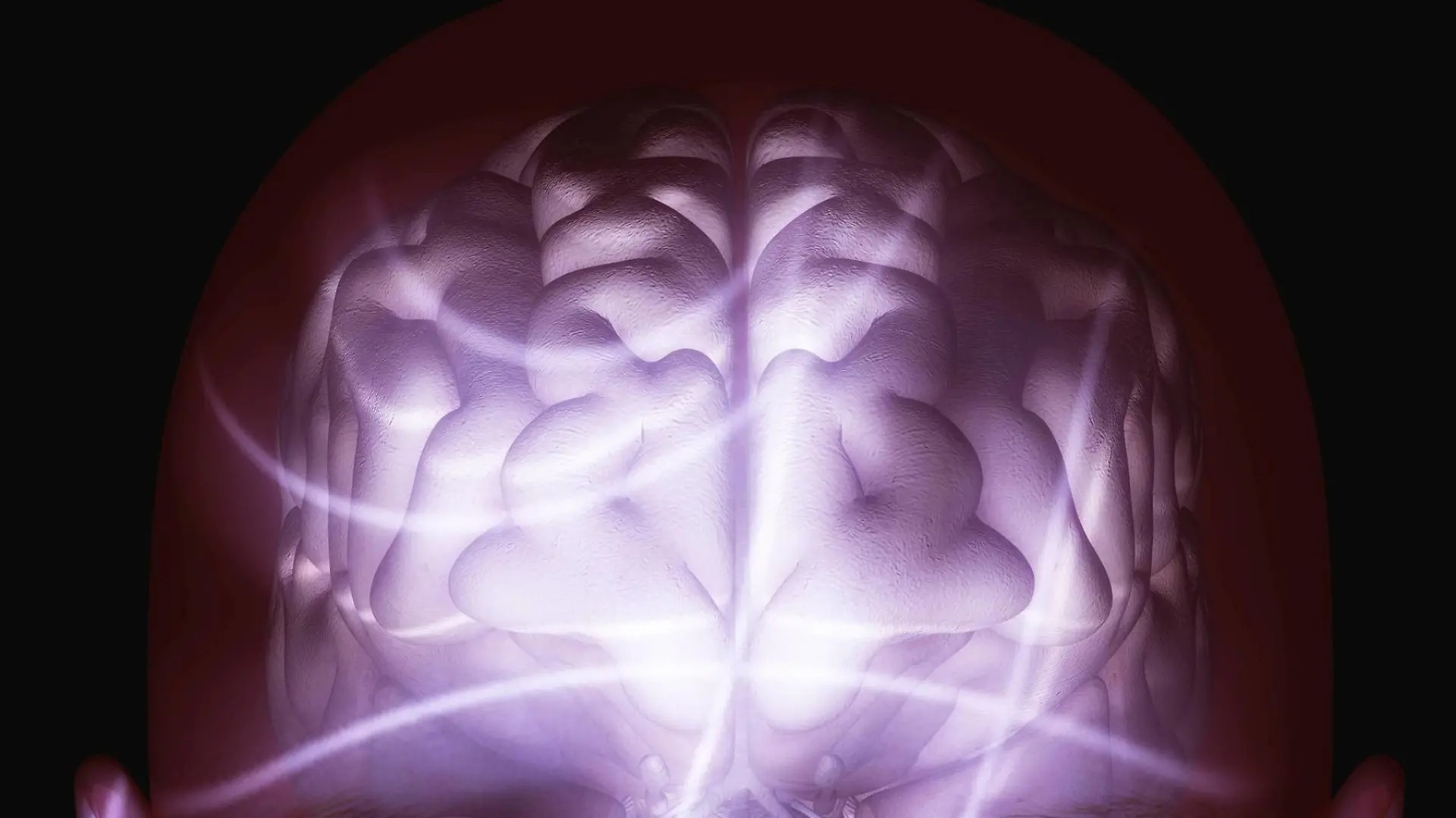Human Brain | Verwendung weltweit