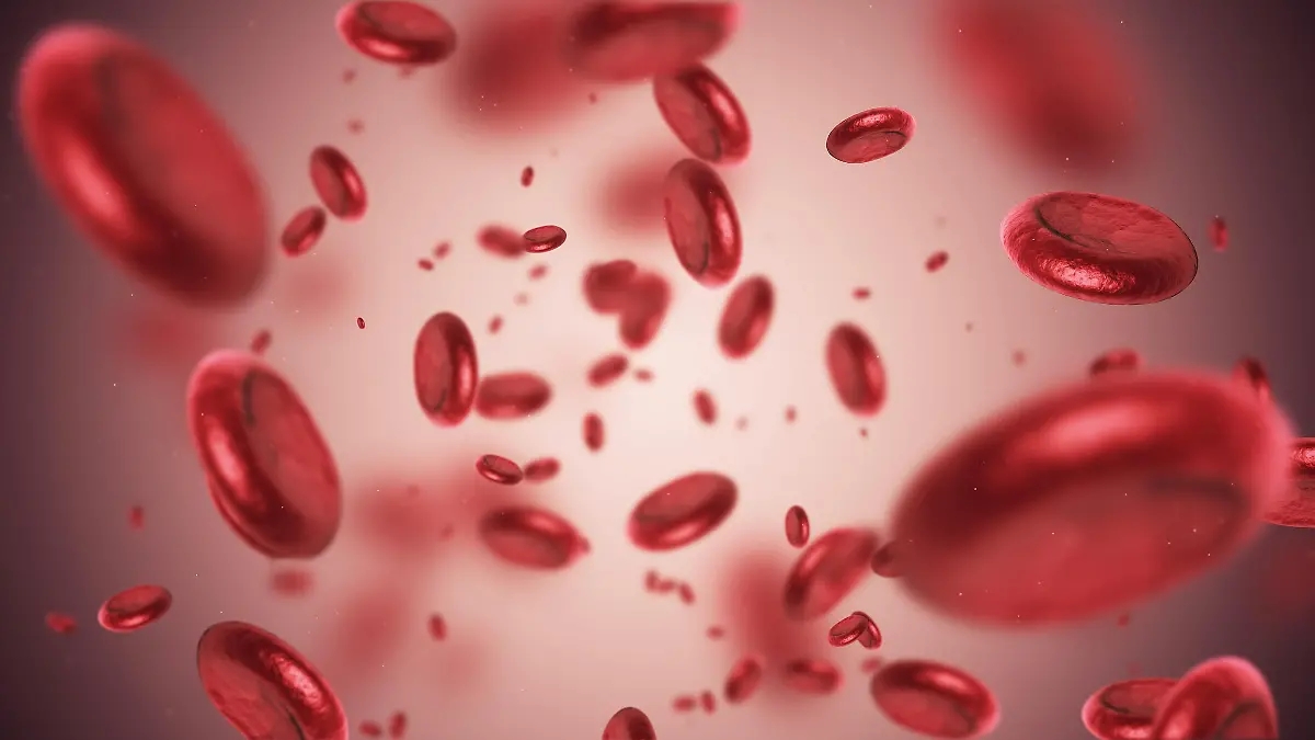 Calcitonin ist ein Hormon, das den Kalzium- und Phosphathaushalt steuer