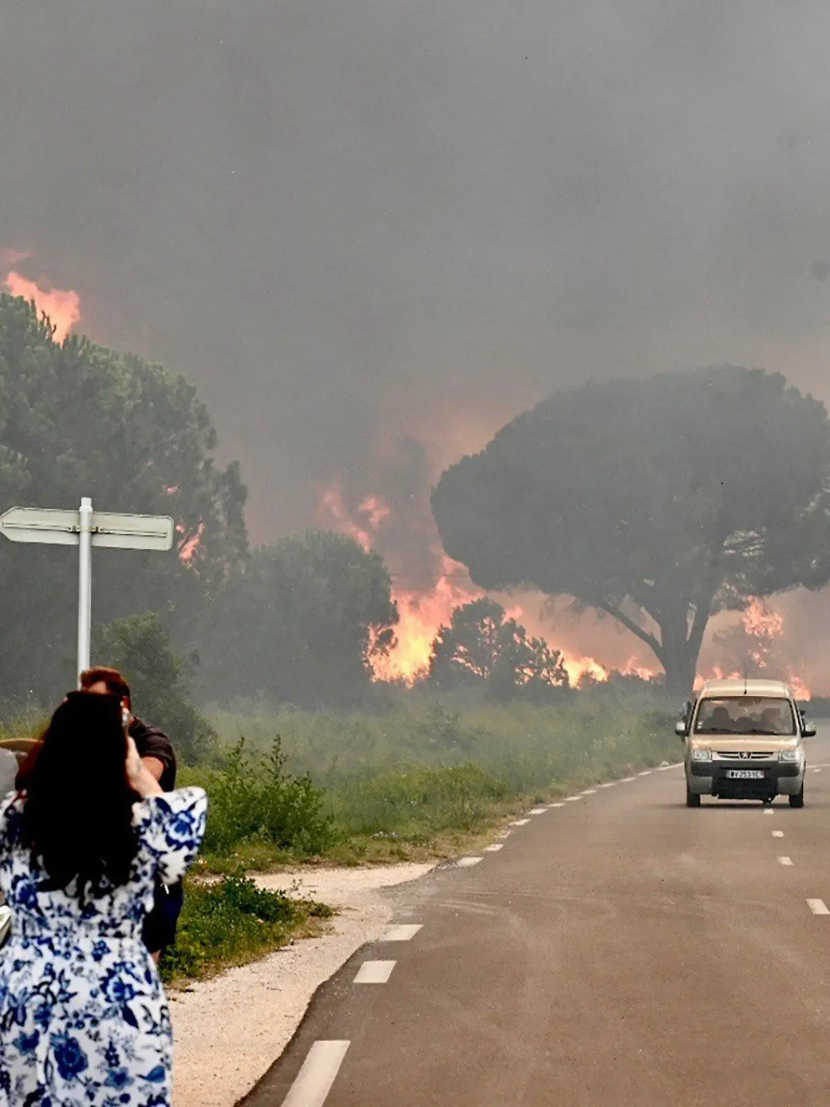 dpatopbilder - 14.08.2023, Frankreich, Argelès-Sur-Mer: Eine Frau fotografiert in Saint-Andre in der Nähe von Argeles-sur-Mer im Südwesten Frankreichs einen Großbrand, der zur Evakuierung  von rund 3000 Touristen von nahegelegenen Campingplätzen geführt hat. Foto: Raymond Roig/AFP/dpa +++ dpa-Bildfunk +++