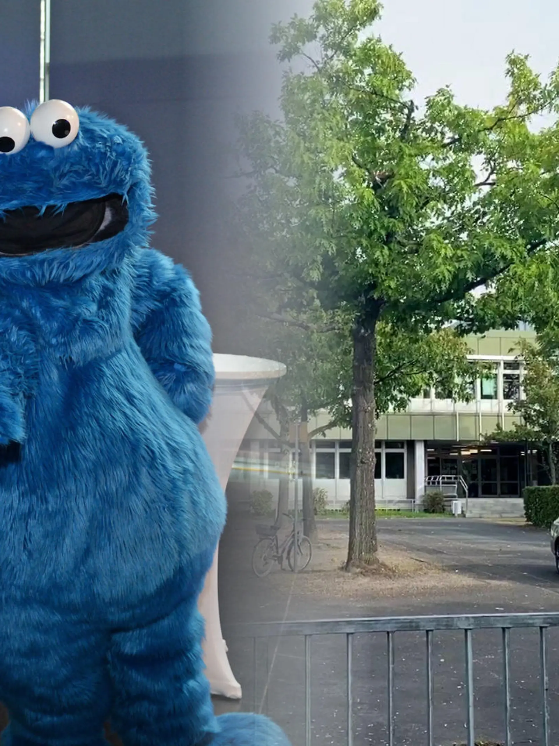 Die Offene Schule Waldau steht bald an der Sesamstraße.