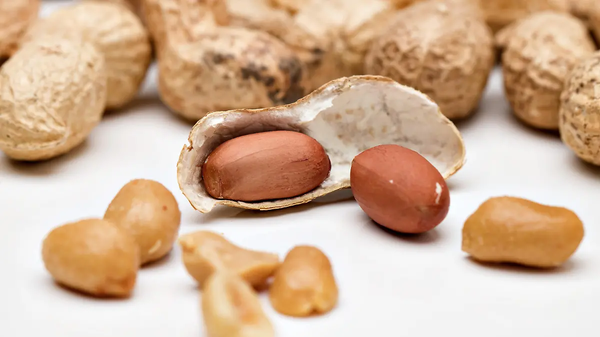 23.08.2015., Zagreb, Croatia - The peanut or groundnut (Arachis hypogaea) is a species in the family Fabaceae. Photo: Davor Puklavec/PIXSELL |