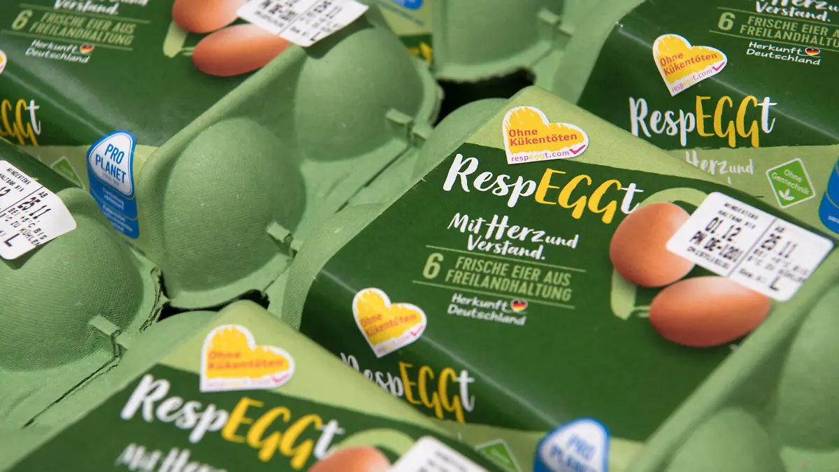 08.11.2018, Berlin: Eier aus einer neuen Methode gegen das Töten von Küken werden in einem Supermarkt in Berlin angeboten. Dabei wird das Geschlecht vor dem Ausbrüten im Ei erkannt, so dass männliche Küken nicht schlüpfen. Jährlich werden bisher 45 Millionen männliche Küken getötet, da sie keine Eier legen und nicht genügend Fleisch ansetzen. Foto: Ralf Hirschberger/dpa +++ dpa-Bildfunk +++