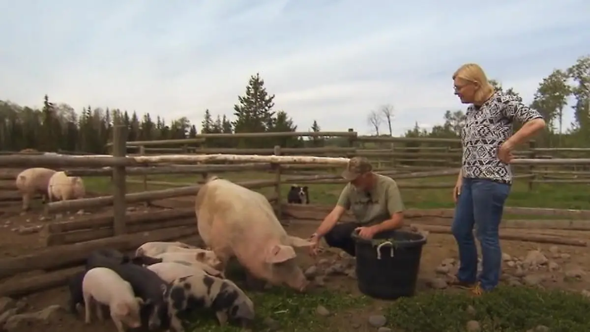 Darum ist Angelika auf Andreas' Farm fehl am Platz Gibt er ihr trotzdem eine Chance?
