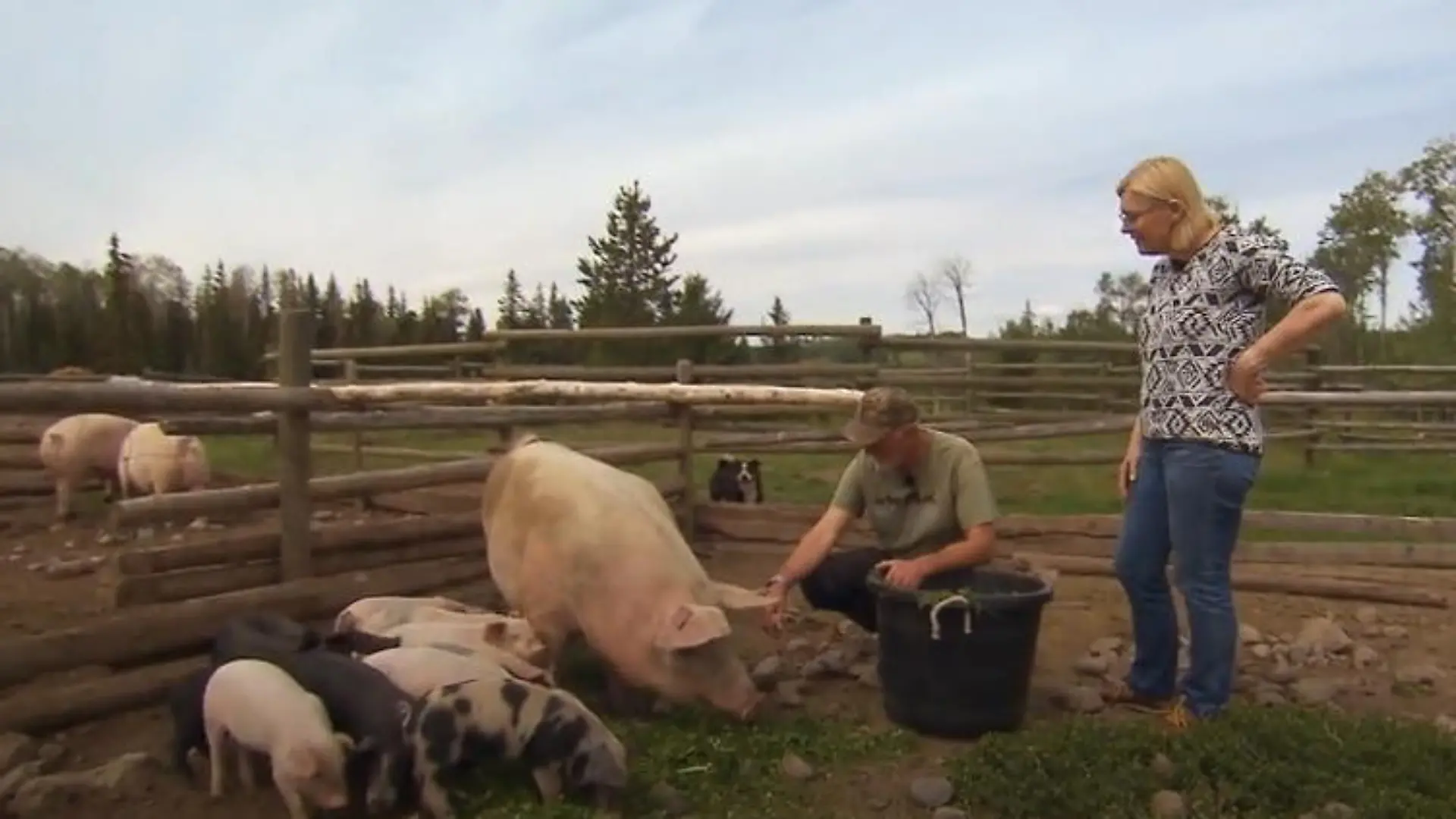 Darum ist Angelika auf Andreas' Farm fehl am Platz Gibt er ihr trotzdem eine Chance?