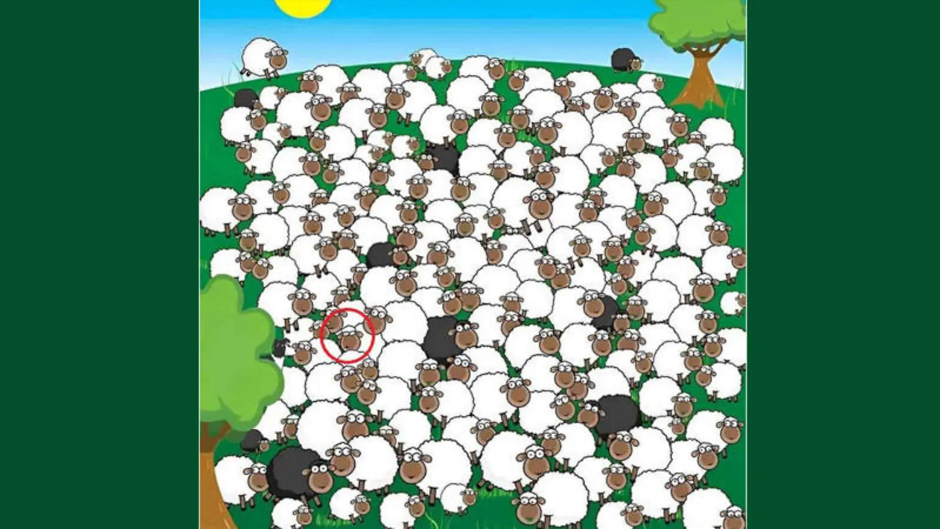 Da ist es doch, das schlafende Schaf!