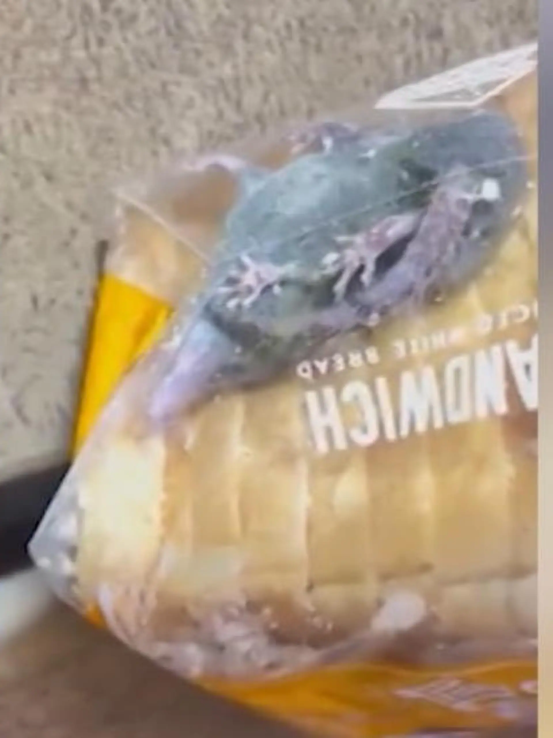 Ein Mann in Indien hatte Lust auf ein Sandwich und bestellte sich kurzerhand bei dem Lieferdienst Blinkit eine Packung Brot. Beim Öffnen des Pakets macht er eine pelzige Entdeckung.