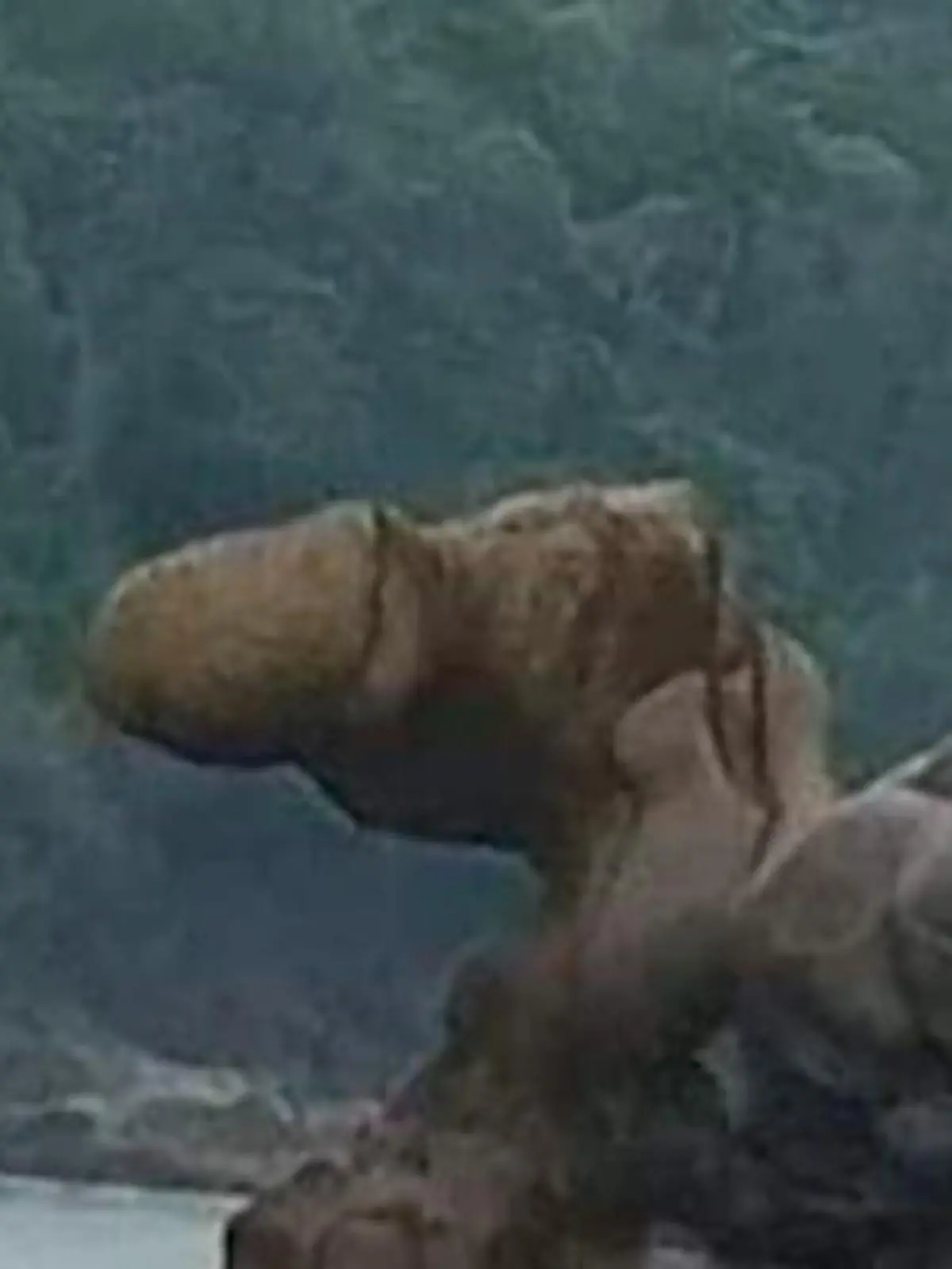 Der Eiffelturm in Paris, der Big Ben in London - und jetzt der Penis-Felsen in Indonesien? Richtig gehört, der phallusförmige Felsen auf einer Insel in der Provinz Westjava zieht Einheimische und Touristen geradezu magisch an.