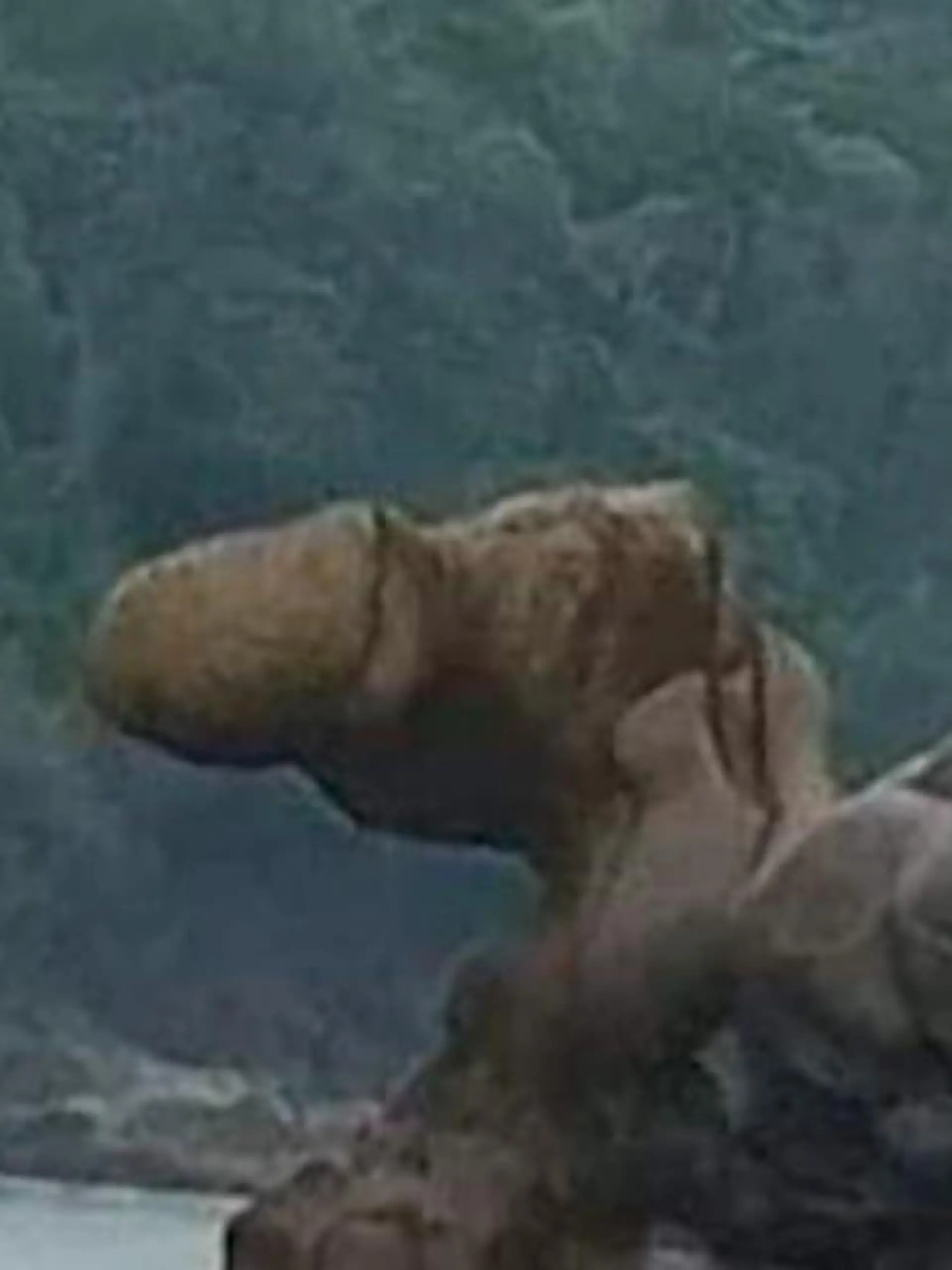 Der Eiffelturm in Paris, der Big Ben in London - und jetzt der Penis-Felsen in Indonesien? Richtig gehört, der phallusförmige Felsen auf einer Insel in der Provinz Westjava zieht Einheimische und Touristen geradezu magisch an.