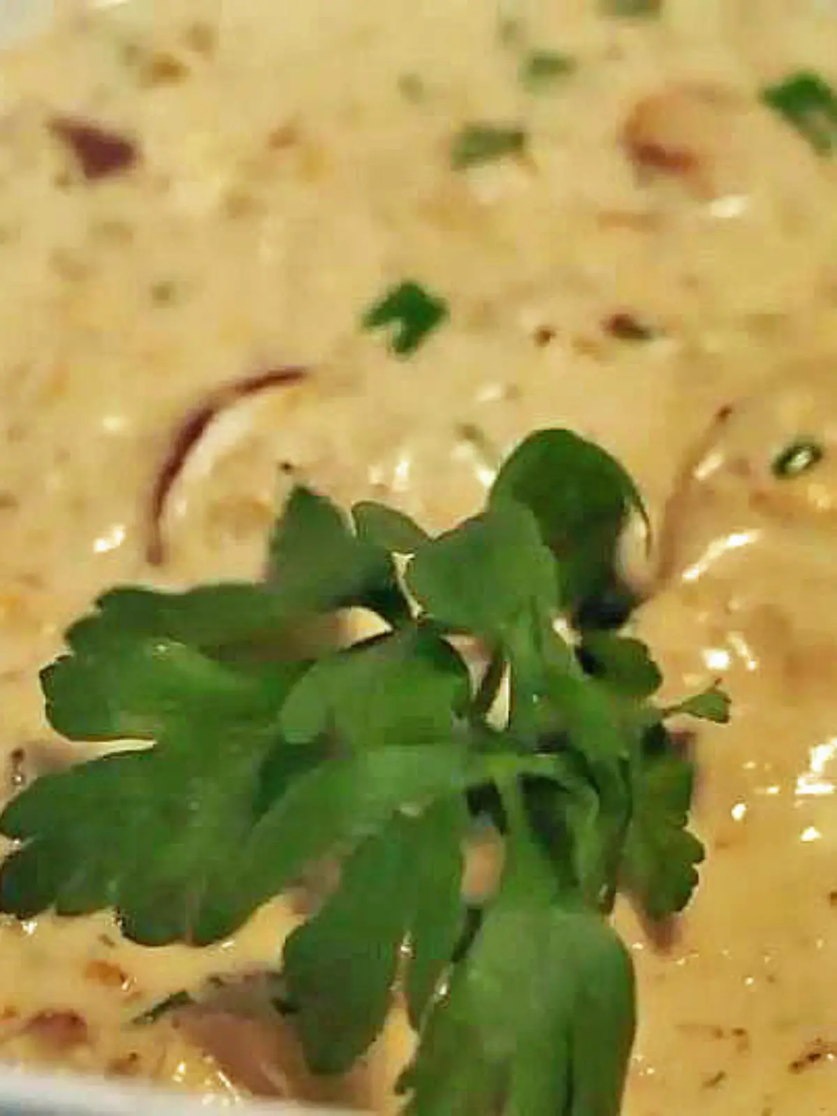 Bild zu: "Rezept: Waldpilzsuppe in vier Minuten zubereitet"